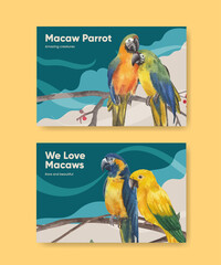 Facebook template with macaw parrot bird concept,watercolor style