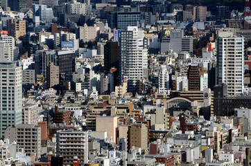 Fototapeta premium 東京の街並み