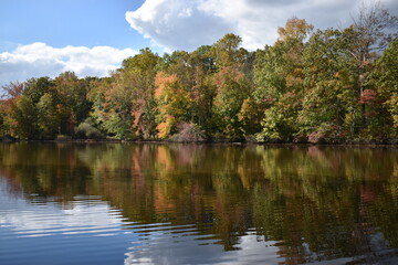 Fototapeta premium Fall Foliage