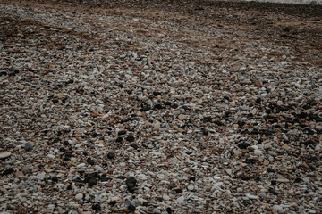 White, black, brown pebbles on the shores of the Baltic Sea.