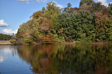 Fall Foliage