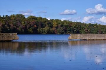 Fototapeta premium Fall Foliage