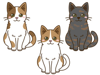 色々な毛色の猫