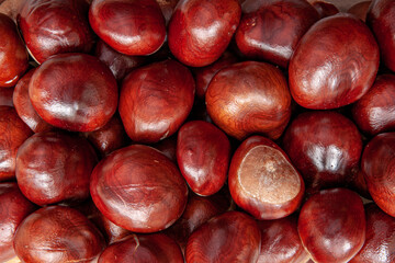 Pattern of conkers, chestnuts, full frame, wallpaper, background