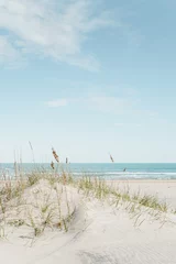 Papier peint photo Herbes des dunes grass growing on a small sand dune at a white sand beach with the calm ocean in the background in bright and airy colors  © Martin