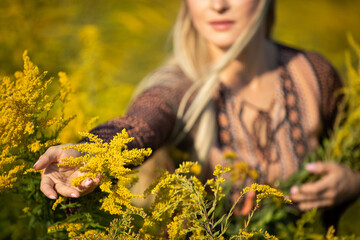 A young herbalist reviews the individual inflorescences of the goldenrod herb.