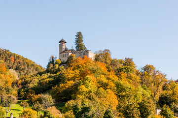 Arlesheim, Schloss Birseck, Burg, Weinberg, Landwirtschaft, Wald, Obstbäume, Ermitage,...