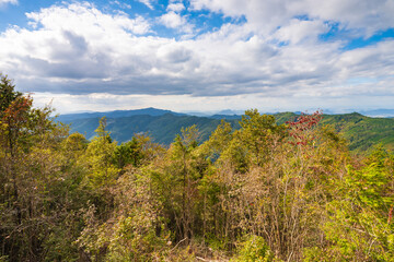 Dramatic landscape of mountains and leaves blowing by wind in autumn or fall, Mt. Ryuo in Kagawa Prefecture in Japan, Nature or Hiking Background