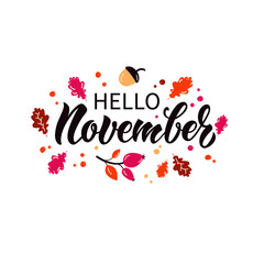 Hello November handwritten text isolated on white background. Vector illustration for banner, card, calendar, poster, postcard, advertising. Modern brush calligraphy, hand lettering typography