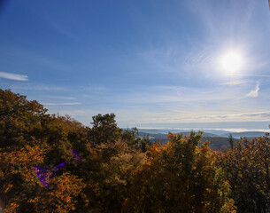 Herbstwald