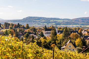 Arlesheim, Dom, Weinberg, Birstal, Birsebene, Dorf, Herbst, Herbstlaub, Ermitage, Baselland,...
