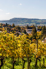 Arlesheim, Dom, Weinberg, Birstal, Birsebene, Dorf, Herbst, Herbstlaub, Herbstsonne, Ermitage,...