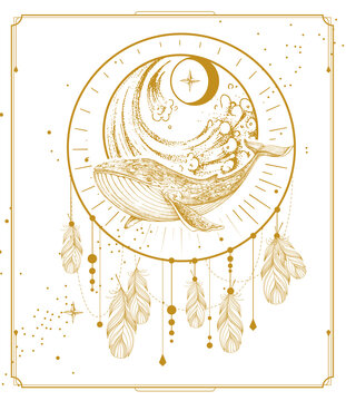Modern magic witchcraft card with dream Catcher and whale with crescent. Vector illustration