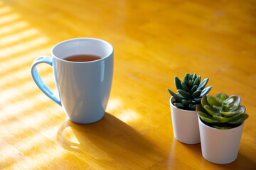 coffee cup and plants