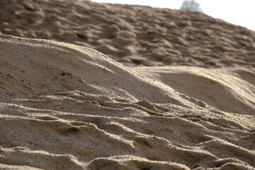 Sanddüne in einem stillgelegten Kieswerk