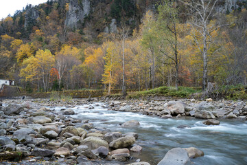 ごつごつした岩の間から流れる川と紅葉