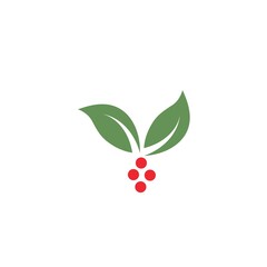 organic leaves icon vector design template