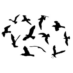 Silhouette set of flying seagulls birds on white background. Inspirational body flash tattoo ink of sea birds. Vector.