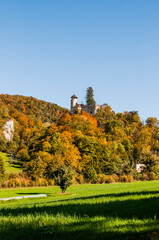 Arlesheim, Schloss Birseck, Burg, Weinberg, Landwirtschaft, Wald, Obstbäume, Ermitage,...