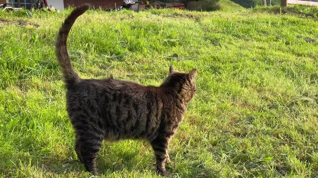 Altman in der Schweiz 