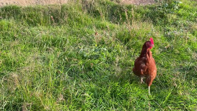 Altman in der Schweiz 