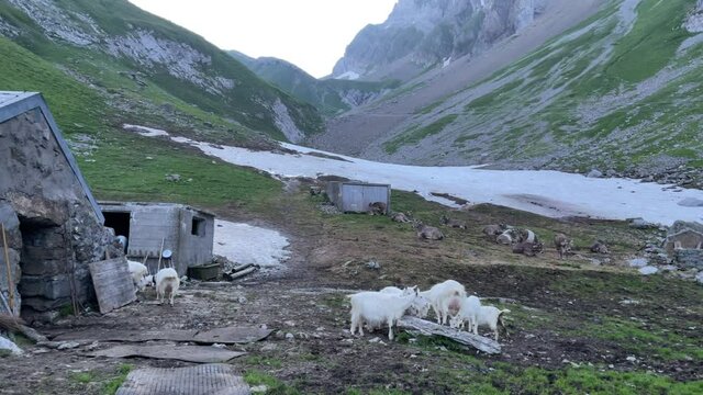 Altman in der Schweiz 