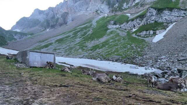 Altman in der Schweiz 