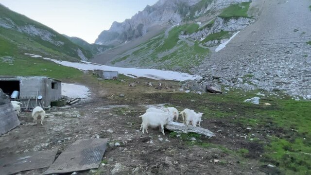 Altman in der Schweiz 