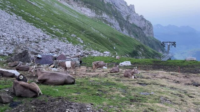 Altman in der Schweiz 