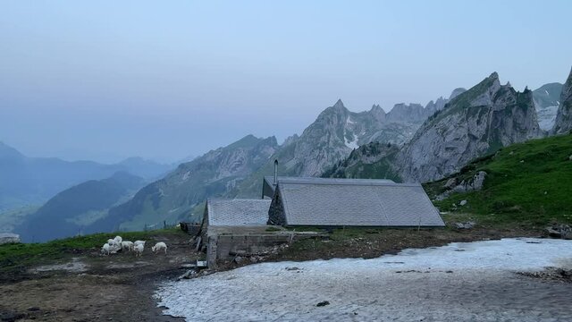 Altman in der Schweiz 