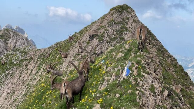 Altman in der Schweiz 