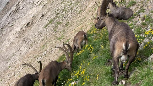 Altman in der Schweiz 