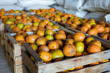 Wooden crates full of oranges with white plastic bags in the back