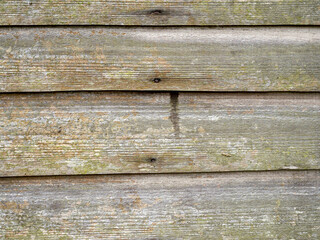 Wood slats on an old mouldy garden fence