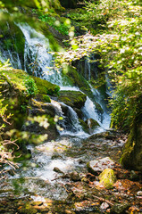 Source of the Llobregat river, in Catalonia.