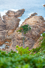 臼碆岬と竜宮神社