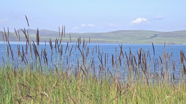 Lakes Shira and Bele, Beautiful lakes of Siberia, Khakassia, Russia