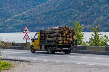 Small truck carrying wood - logs. Deforestation - concept
