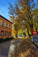 autumn in the city