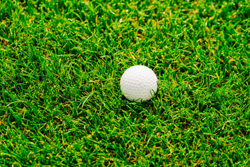 golf ball on the green grass. country club for golfers. 