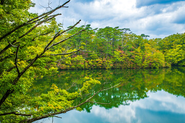 Fototapeta na wymiar 青森県　白神山地・ 鶏頭場の池