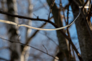 outdoor electrical wires