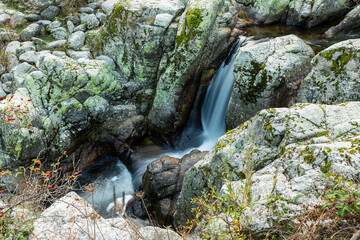 Lozoya river, with the colors of autumn, as it passes through the Sierra de Guadarrama in the province of Madrid