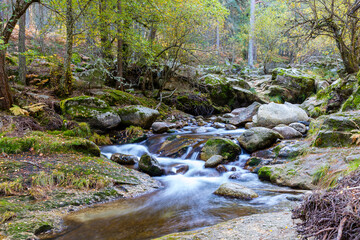 Fototapeta na wymiar Lozoya river, with the colors of autumn, as it passes through the Sierra de Guadarrama in the province of Madrid