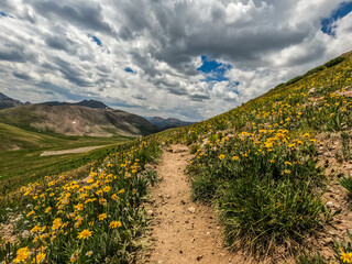 Fototapeta na wymiar Beautiful sceneries along the San Juan Mountains on the 485 mile Colorado Trail, Colorado