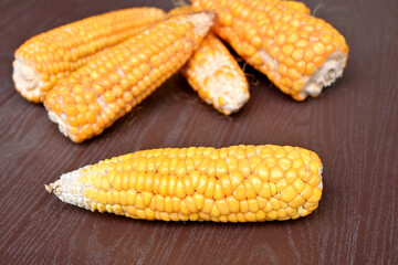 closeup the bunch orange white corncob over out of focus the grey brown background.