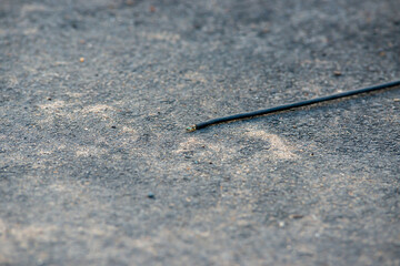 bare wire on asphalt