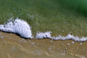 White foam of green lake water during flowering on sandy shore. Focus in the center of image