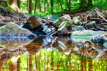 long exposure of a small waterfall in a forest stream