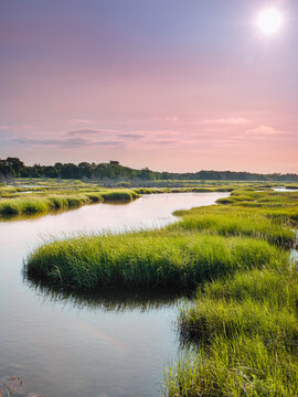 Autumn marsh landscape at sunrise on Cape Cod. Tranquil seascape of Cape Cod Lifestyle at high tide. Curving river flowing through dunes with wild plants under the pink and purple sky. 